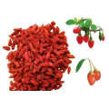 Organic Low Pesticides EU Standard Goji Berry High Quality